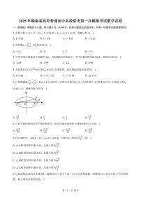2025年湖南省高考普通高中名校联考第一次模拟考试数学试卷（含答案）