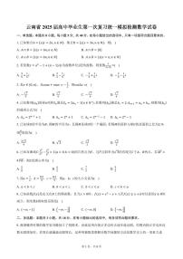 云南省2025届高中毕业生第一次复习统一模拟检测数学试卷（含答案）