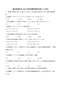 湖北省武汉市2025年高考数学联考试卷（3月份）（含答案）