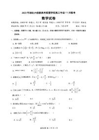 2024届湖北省六校新高考联盟学校高三上学期11月联考-数学试题（含答案）