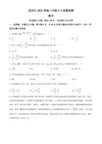2024届湖北省武汉市武昌区高三二模-数学试卷（含答案）