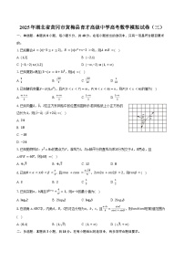 2025年湖北省黄冈市黄梅县育才高级中学高考数学模拟试卷（三）（含答案）