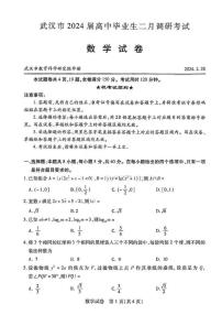 2024届湖北省武汉市高中毕业生调研考试（3月）-数学试题（含答案）