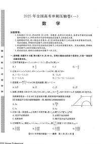 2025年全国高考冲刺压轴卷一-数学试题（含答案）