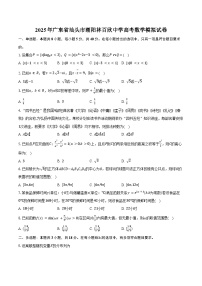 2025年广东省汕头市潮阳林百欣中学高考数学模拟试卷（含答案）