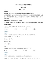 河北省省级联考2024-2025学年高三下学期模拟预测试题 数学 含解析