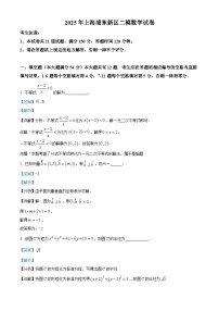 上海市浦东新区2025届高三下学期期中考试数学试题（Word版附解析）