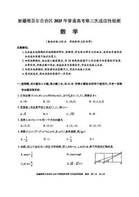 2025届新疆维吾尔自治区高三下学期高考第三次适应性检测数学试卷（含答案）