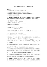 2025年上海市宝山区高三二模数学试卷和参考答案