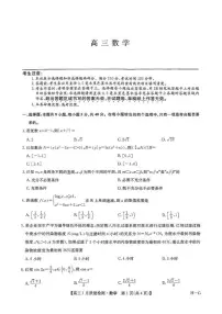 2025届九师联盟高三上学期1月期末考试数学试题（含答案）