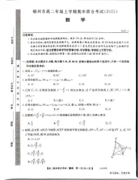 广西柳州2024-2025秋季高二上学期期末(1月开考)数学试卷（含答案）