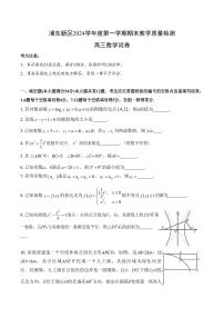 【2025届上海高三一模数学】2025届上海市浦东新区高三数学一模试卷及答案