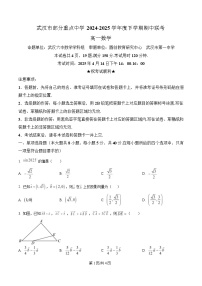 湖北省武汉市部分重点学校2024-2025学年高一下学期期中联考数学试卷（Word版附解析）