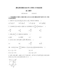 湖南省长沙市雅礼集团2024-2025学年高二下学期3月月考 数学试卷（含答案）