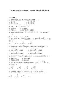安徽省2024-2025学年高一下学期4月期中考试数学试题
