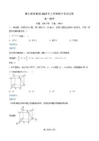 湖南省长沙市雅礼教育集团2024-2025学年高一下学期期中考试数学试题 含解析
