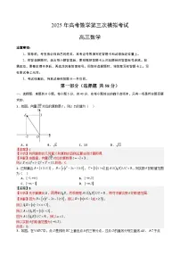 2025年高考第三次模拟考试：数学（新高考Ⅱ卷）03（解析版）