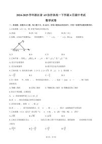 浙江省A9协作体2024-2025学年高一下学期4月期中联考数学试题（PDF版附答案）