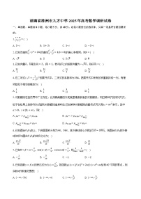 湖南省株洲市九方中学2025年高考数学调研试卷（含解析）