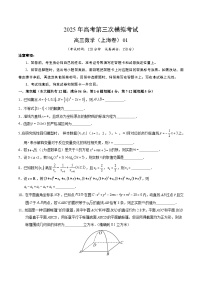 2025年高考第三次模拟考试卷：数学（上海卷01）（考试版）