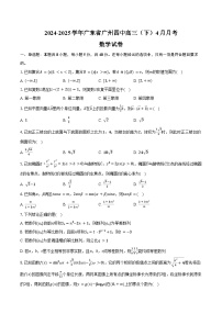 2024-2025学年广东省广州四中高三（下）4月月考数学试卷（含答案）