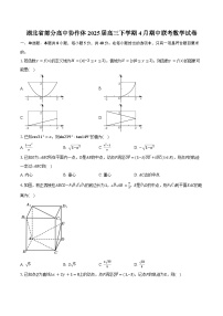 湖北省部分高中协作体2025届高三下学期4月期中联考数学试卷（含答案）