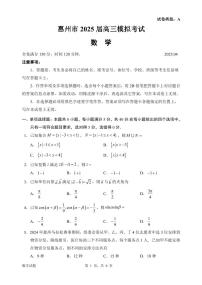 2025届惠州高三模拟考试数学试题及参考答案