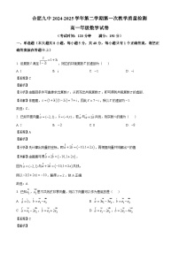 安徽省合肥市第九中学2024-2025学年高一下学期第一次教学质量检测 数学试卷（含解析）