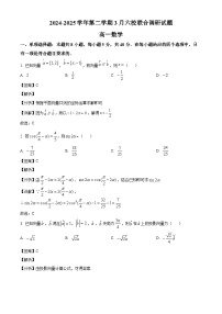 江苏省南京市六校联合体2024-2025学年高一下学期3月调研考试 数学试卷（含解析）