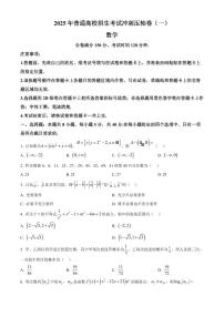 2025年普通高校招生考试高考模拟冲刺压轴卷(一)-数学试题+答案