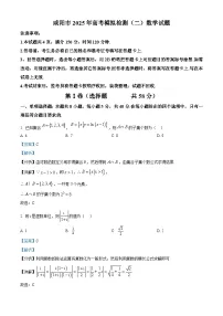 陕西省咸阳市2025届高三下学期二模试题 数学 含解析