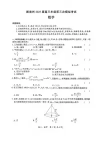 数学丨贵州省黔南布依族苗族自治州2025届高三下学期4月第三次模拟数学试卷及答案