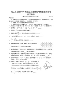 2025上海松江区高考二模数学试卷及参考答案