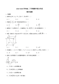 四川省泸州市泸县高中共同体2024-2025学年高二下学期4月期中联考数学试卷（Word版附解析）