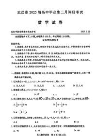 2020~2025武汉高三调考【数学试卷合集】及参考答案