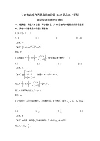 甘肃省武威市天祝藏族自治县2025届高三下学期开学摸底考试数学试卷（解析版）