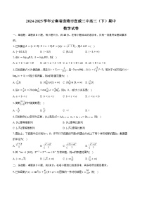 2024-2025学年云南省曲靖市宣威三中高三（下）期中数学试卷（含答案）
