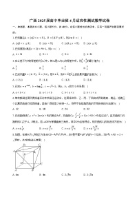 广西2025届高中毕业班4月适应性测试数学试卷（含答案）