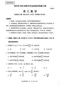 福建省泉州市2025届高中毕业班适应性练习卷数学试卷（附参考答案）