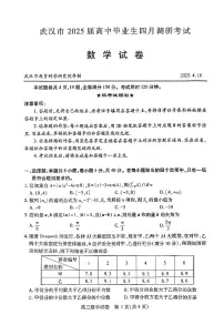 2025届武汉高三年级四调数学试题及参考答案