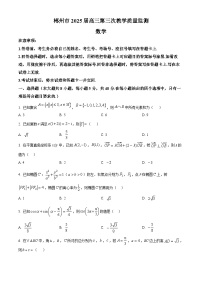 湖南省郴州市2025届高三下学期第三次教学质量监测（市三模）数学试题（Word版附解析）
