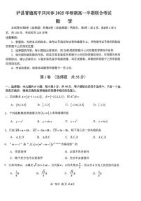 四川省泸州市泸县普通高中共同体2024-2025学年高一下学期4月期中联考数学试题（PDF版附答案）