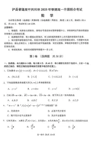 四川省泸州市泸县普通高中共同体2024-2025学年高一下学期4月期中联考数学试题（PDF版附答案）