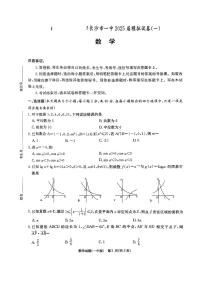 2025届湖南省长沙市第一中学高三下学期模拟（一）数学含答案解析