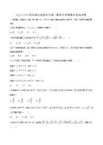 2024-2025学年湖北省武汉市高一数学下学期期末考试试卷1（附答案）