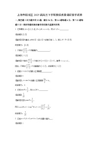 上海市杨浦区2025届高三下学期模拟质量调研数学试卷（解析版）