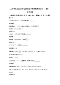 上海市杨浦区2025届高三上学期模拟质量调研（一模）数学试题（解析版）