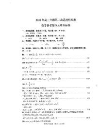 山东省青岛市2024-2025学年高三下学期第二次适应性检测数学试题及评分标准