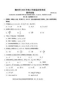 2025届江西省赣州市高三二模数学试题（高考模拟）