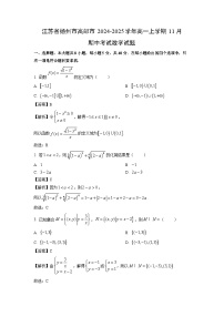 江苏省扬州市高邮市2024-2025学年高一上学期11月期中考试数学试题（解析版）